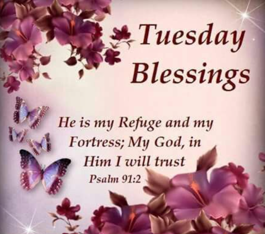 Thankful Tuesday Blessings & Prayers for Hope