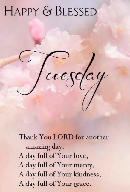 Thankful Tuesday Blessings & Prayers for Hope