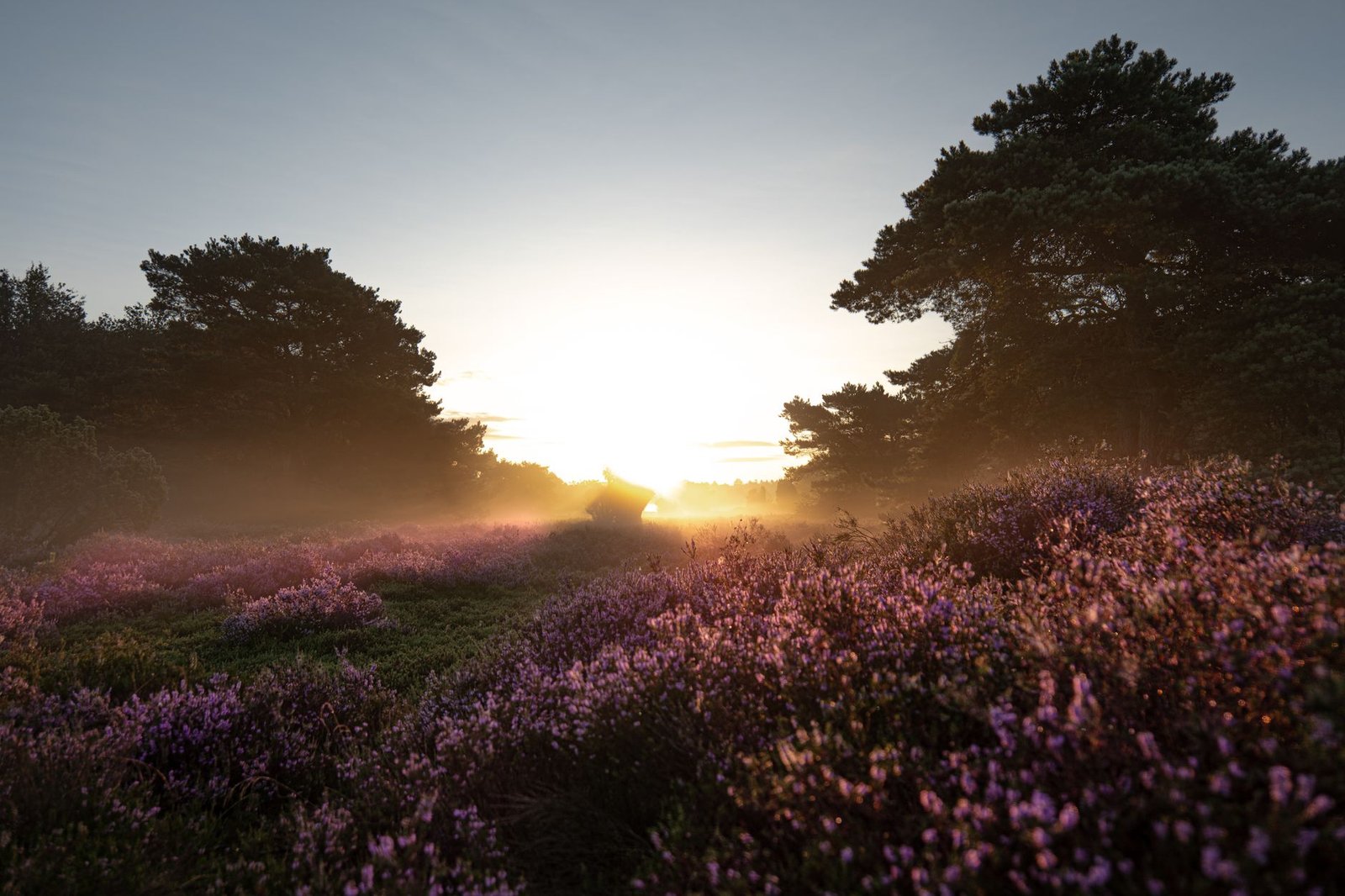 friday blessings for work success with warm and positive wishes