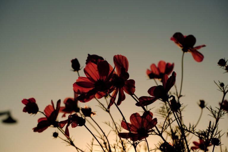 monday blessings for grandparents inspirational morning image